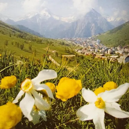 2 Alpes - 2-4 Pers * Les Deux Alpes