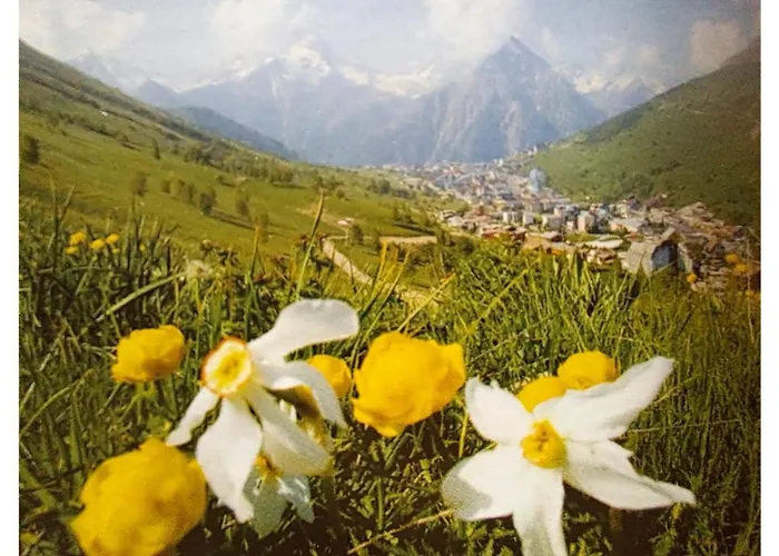 2 Alpes - 2-4 Pers * Ле дез Альп