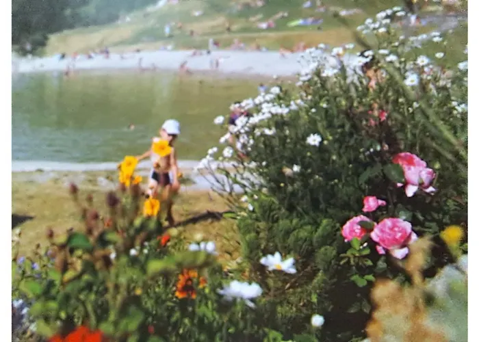 2 Alpes - 2-4 Pers Апартаменты *